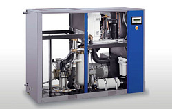 Компрессор Ceccato OFCS 2/10 (на раме)