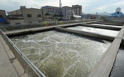 Воздуходувка Robuschi RBS ES 15 Воздуходувка Robuschi RBS ES 15